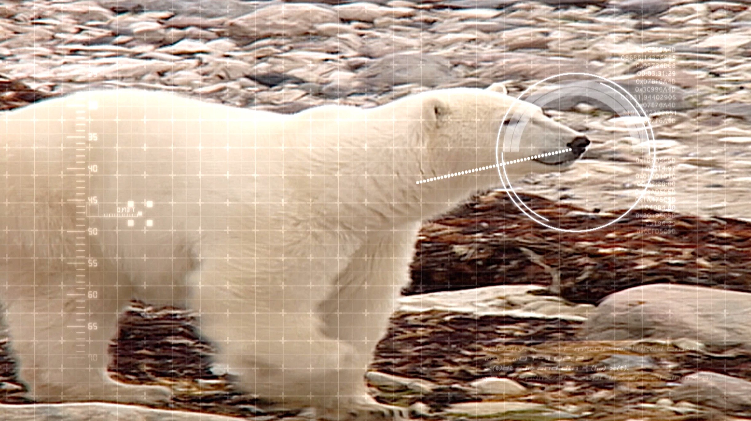 S1 Ep 3 - Life in the Arctic