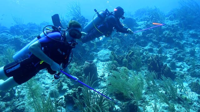 S2 Ep 11 - Marine Restoration