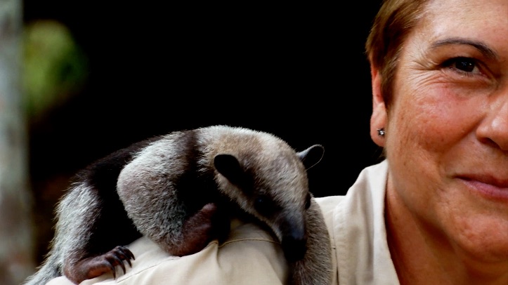 S1 Ep 4 - Wild About Animals