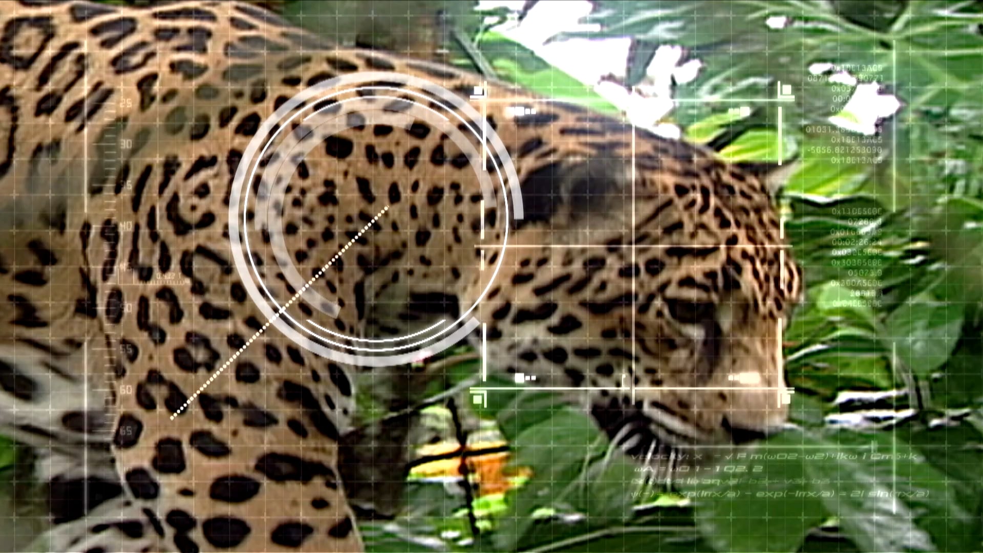 S2 Ep 1 - South American Animals