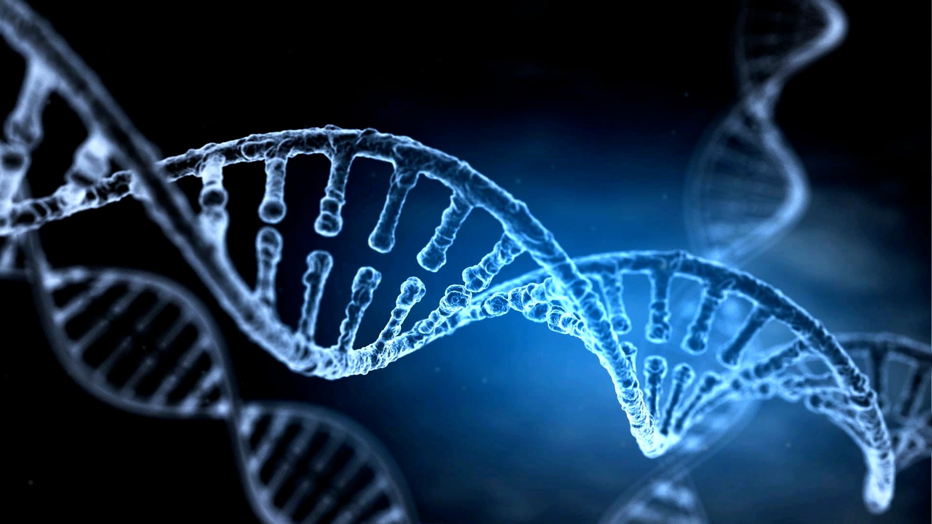 S2 Ep 5 - Playing God