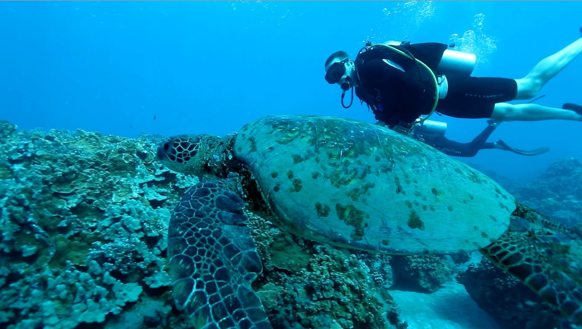 S1 Ep 11 - Awesome Hawaii