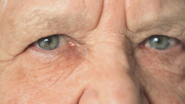 S1 Ep 8 - Mastering Memory