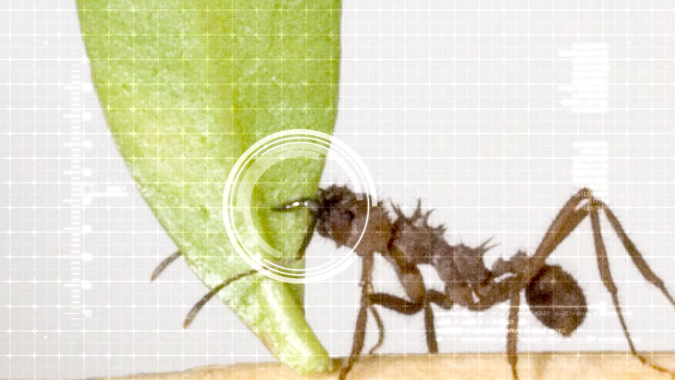 S1 Ep 7 - Animal Survival