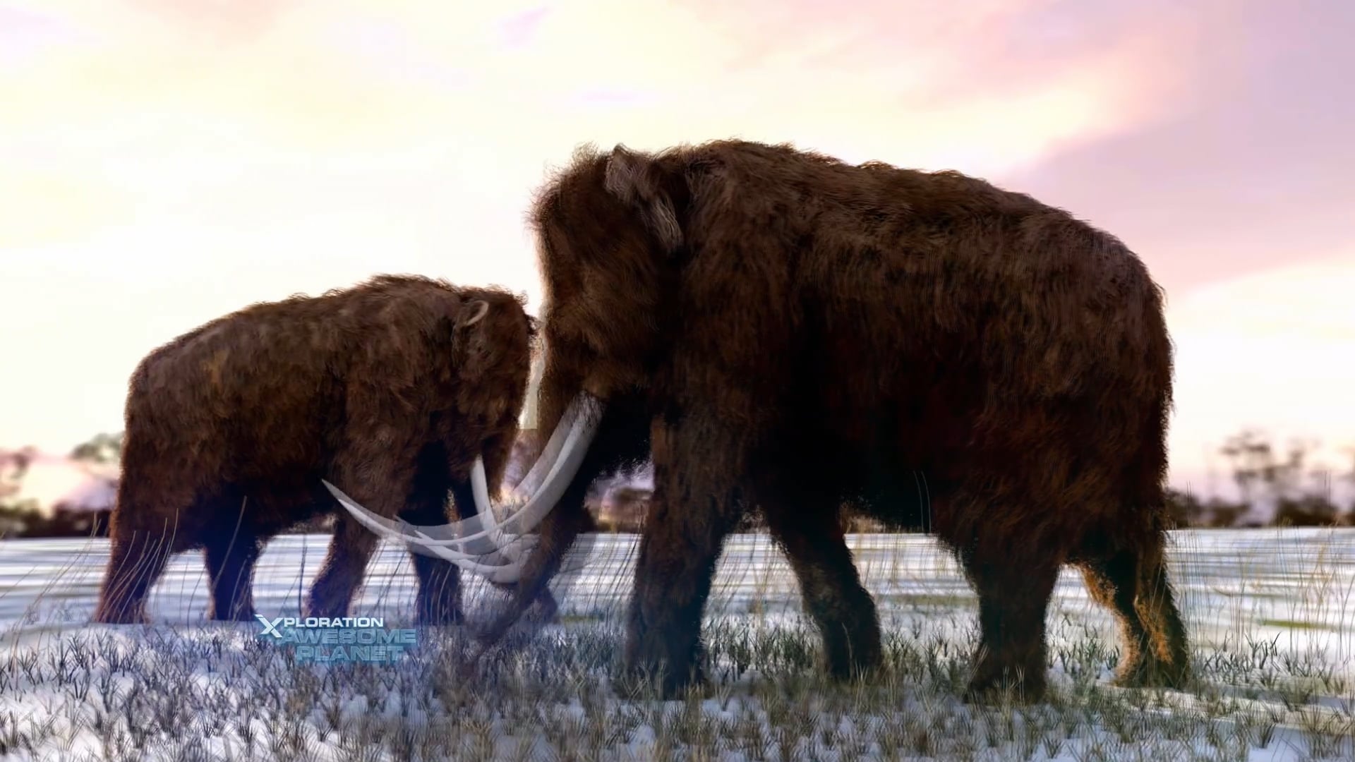 S7 Ep 4 Noah’s Ark In the 21st Century