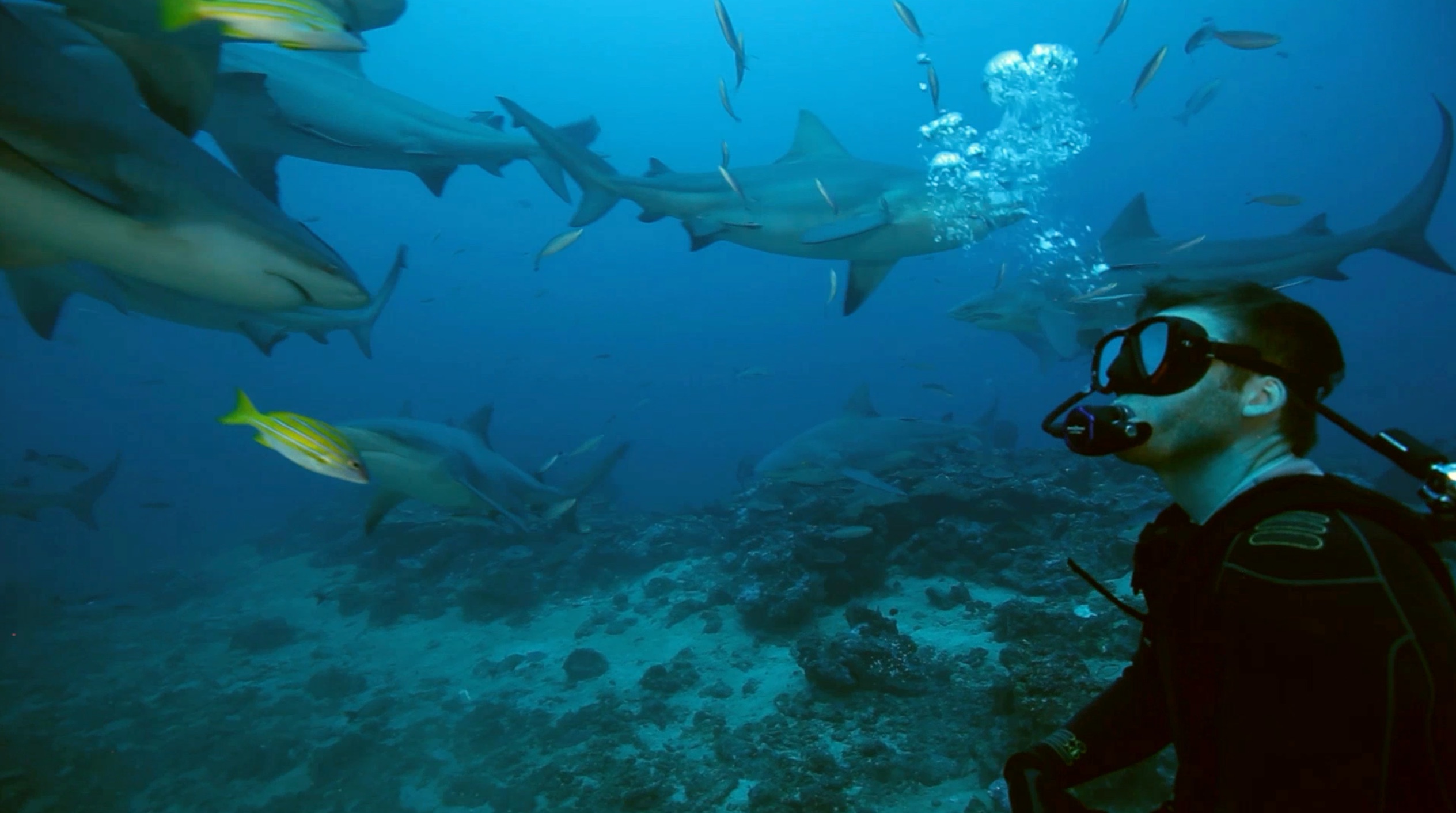 S5 Ep 1 - Helping Hands