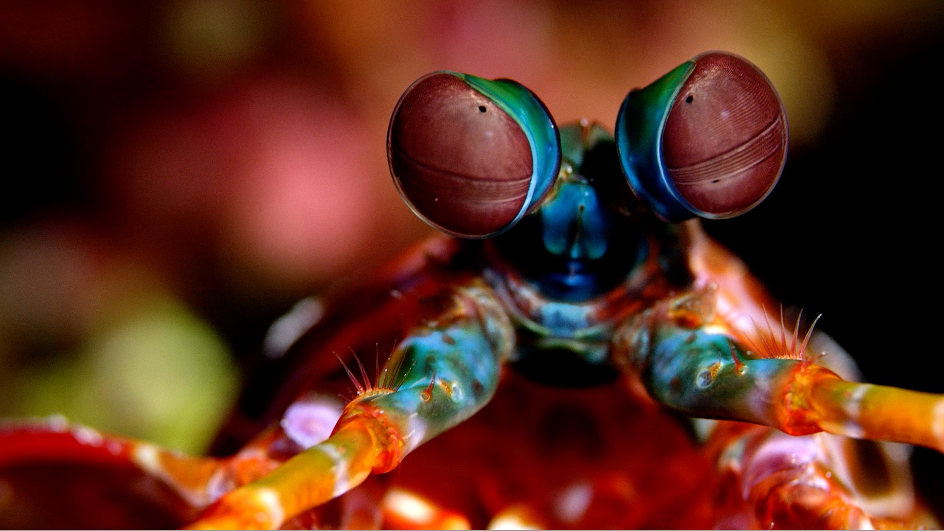 S5 Ep 7 - Hidden Nature