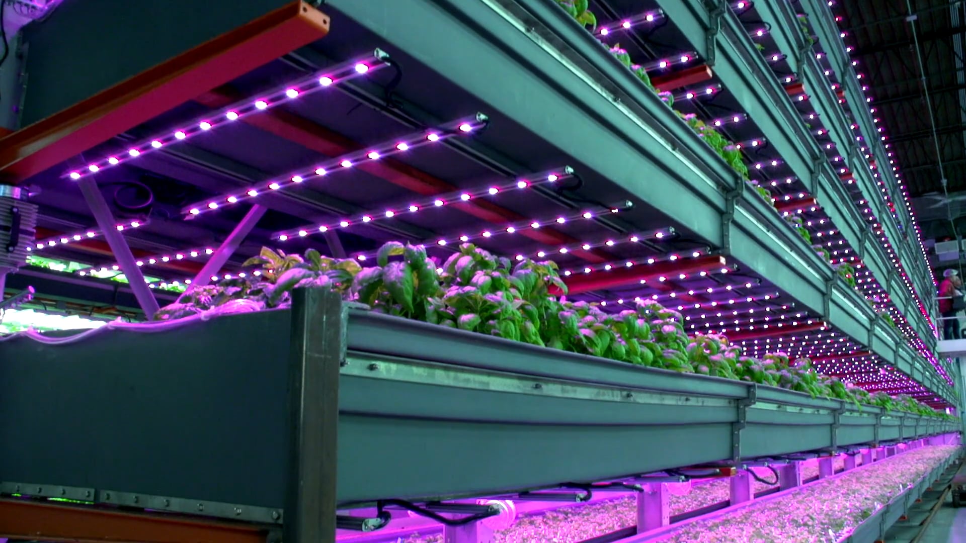 S2 Ep 3 - Urban Farmers