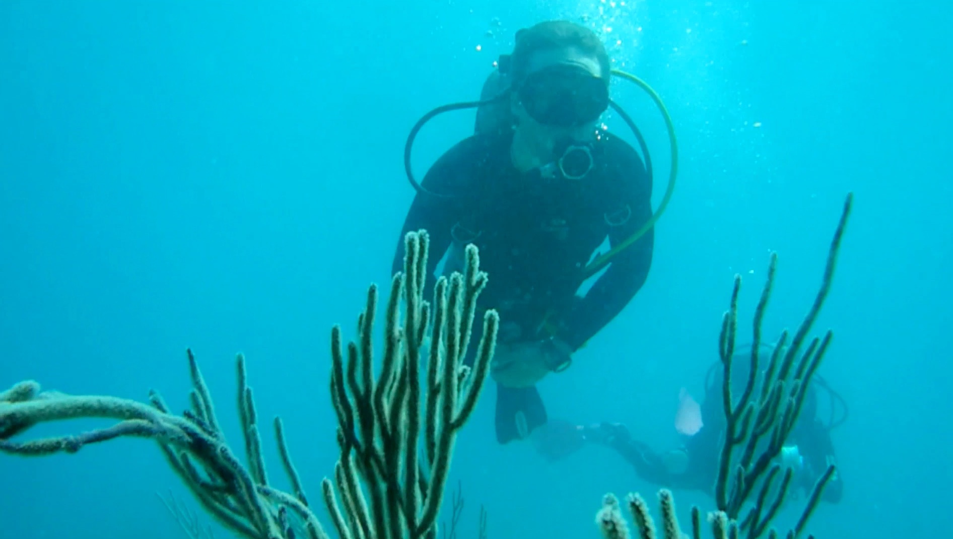 S1 Ep 8 - Ocean Exploration