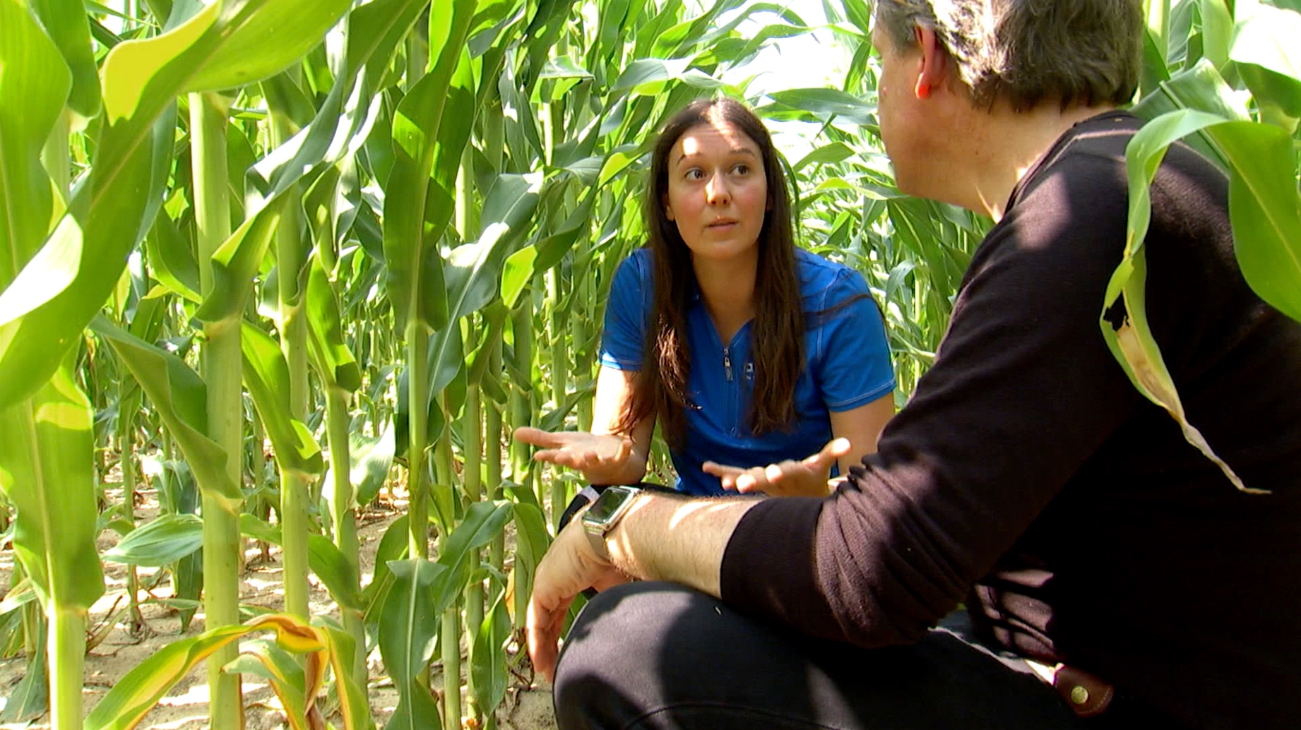 S2 Ep 11 - Growing Food