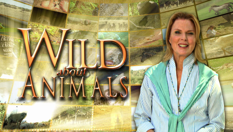 Wild About Animals