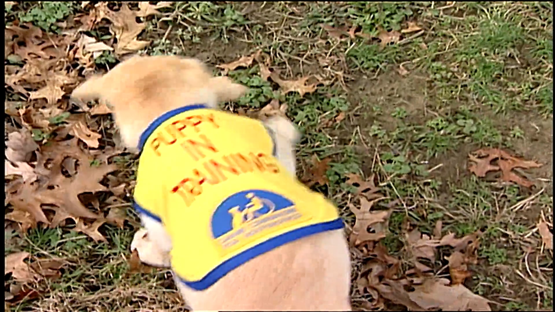 S1 Ep 6 - Wild About Animals