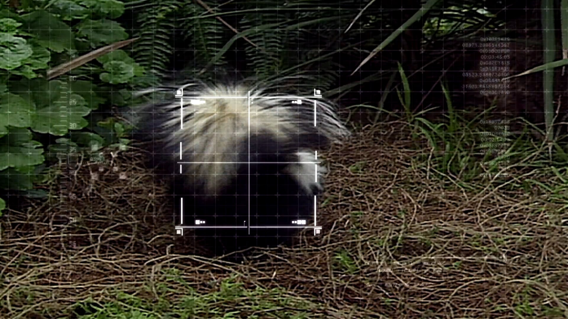 S1 Ep 6 -  Animal Defenses