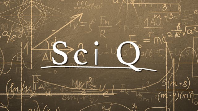 Sci Q