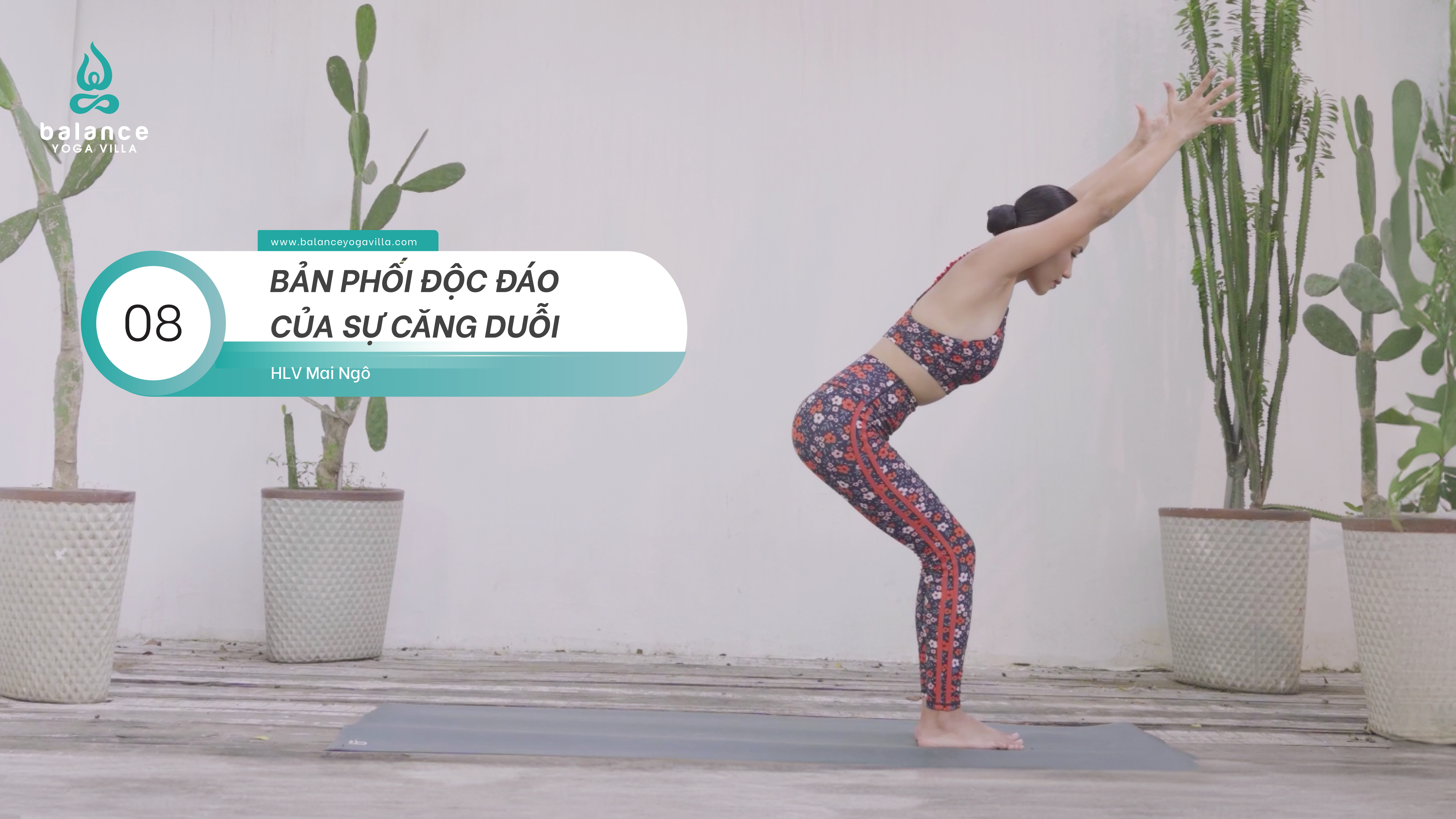 #08 Bản Phối Độc Đáo Của Sự Căng Duỗi