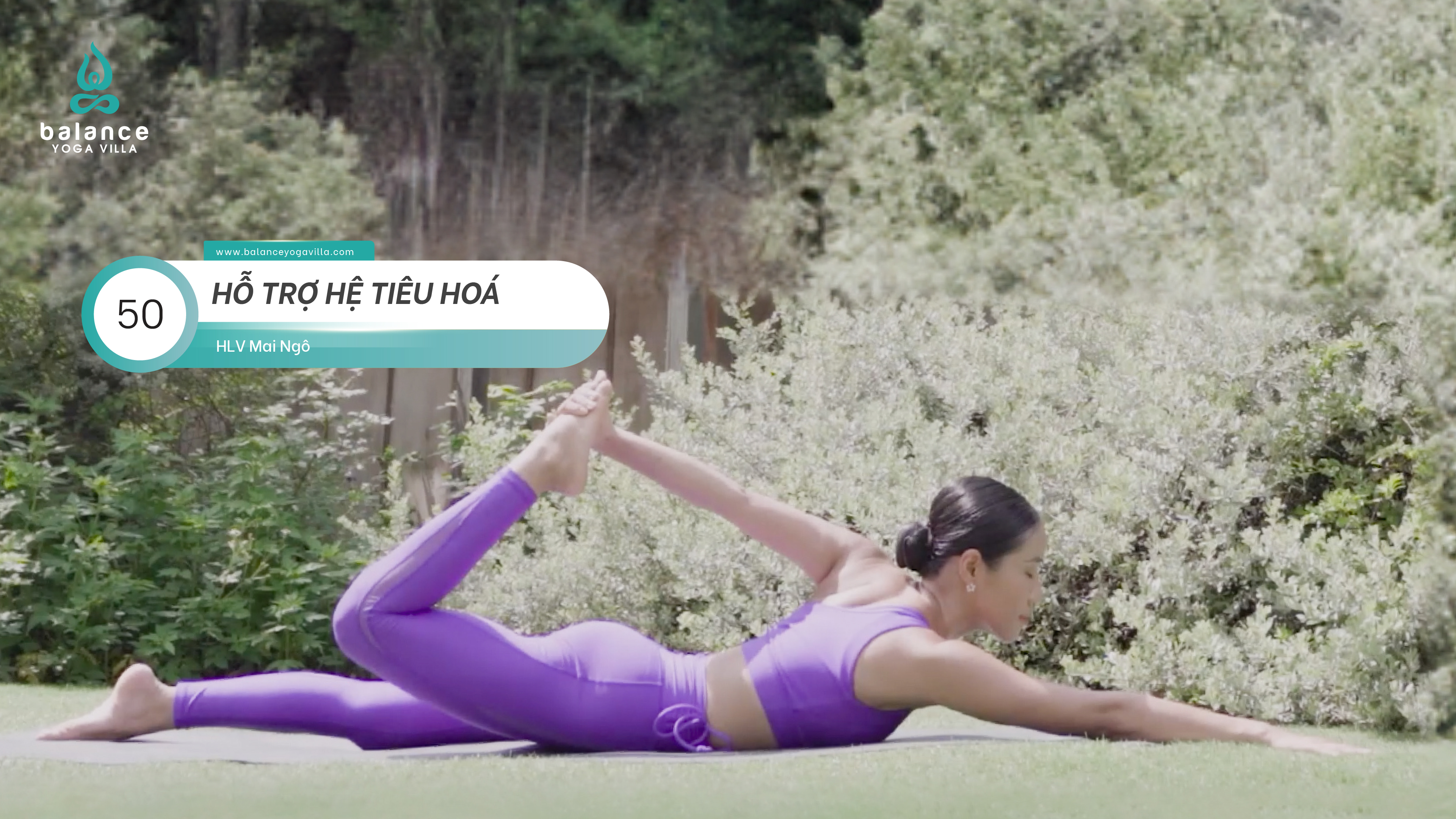 #50 Hỗ Trợ Tiêu Hoá