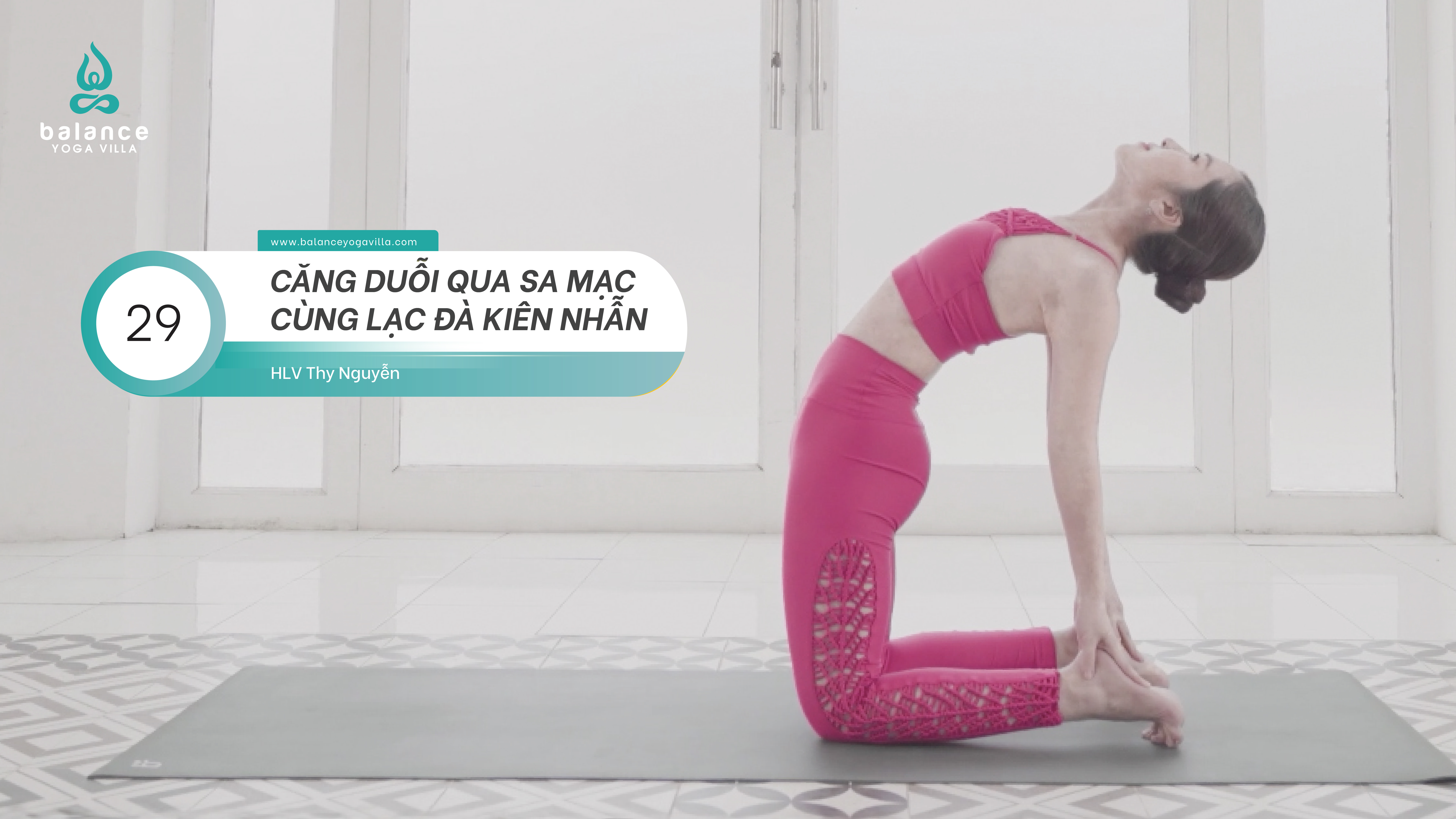 #29 "Căng Duỗi” Qua Sa Mạc Cùng "Lạc Đà Kiên Nhẫn”