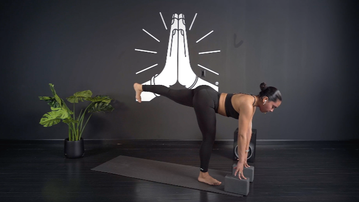 WEFLOWHARD® VINYASA WITH LUISANNA T