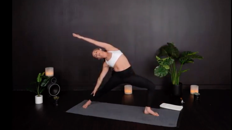 WEFLOWHARD® VINYASA WITH ELISE P