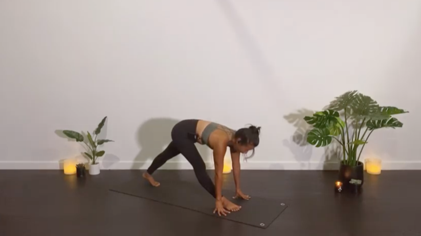 WEFLOWHARD® VINYASA WITH EMILY T