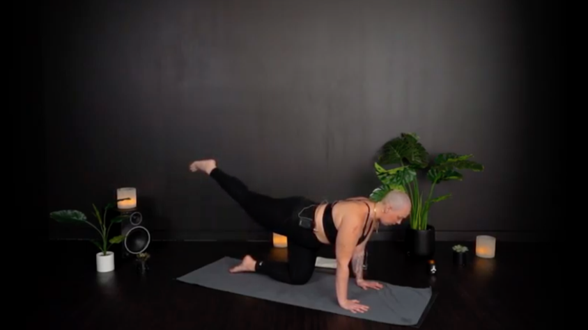 LOWER BODY WITH ELISE F