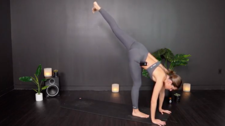 WEFLOWHARD® VINYASA WITH LEORA M