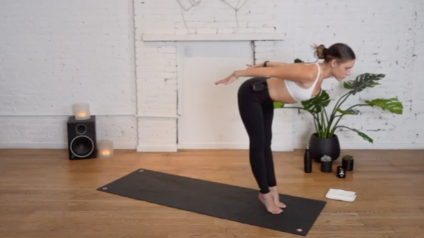 WEFLOWHARD® VINYASA WITH LAUREN K