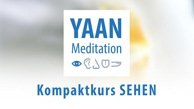 Yaan Meditation Kompaktkurs SEHEN - Komplettpaket 