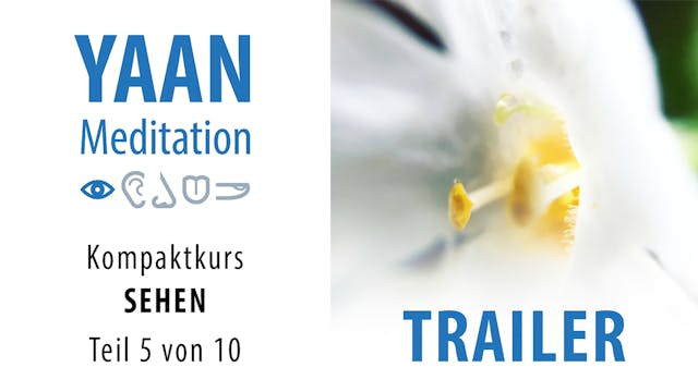 SEHEN 5 Trailer