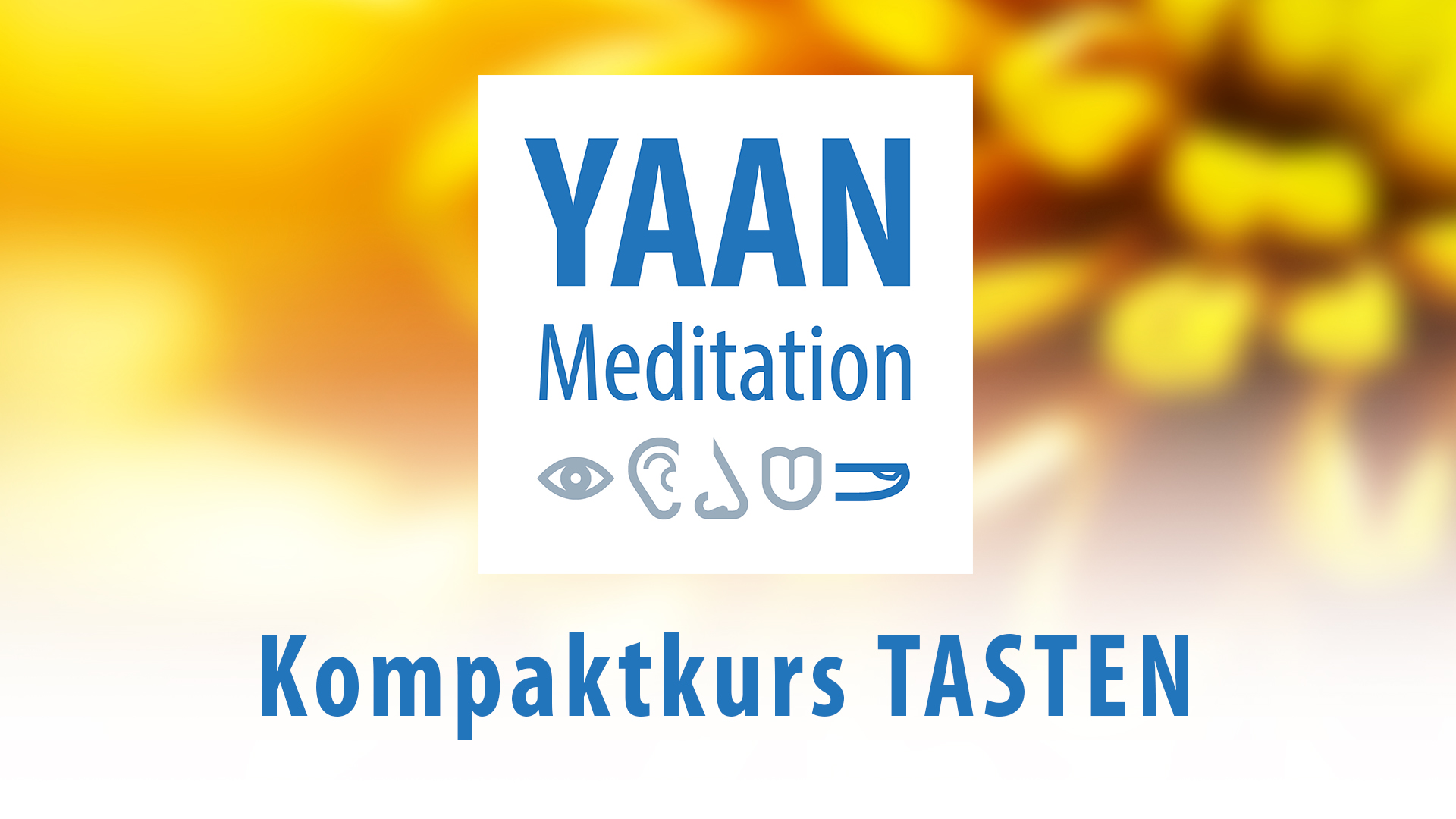Yaan Meditation Kompaktkurs TASTEN