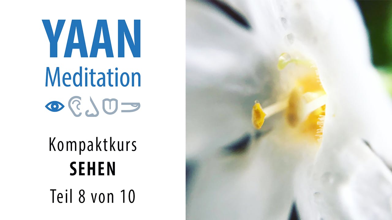 Yaan Kompaktkurs SEHEN - Teil 8