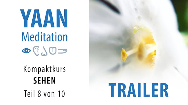 SEHEN 8 Trailer