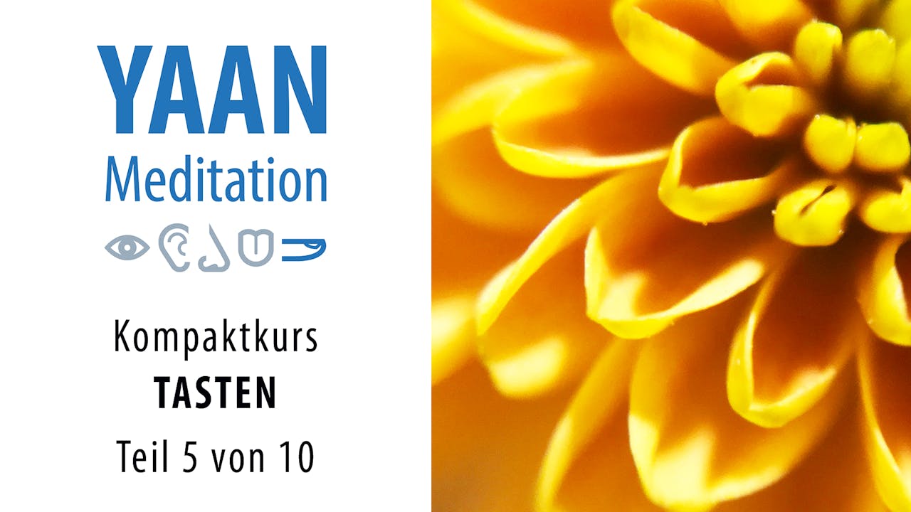 Yaan Kompaktkurs TASTEN - Teil 5