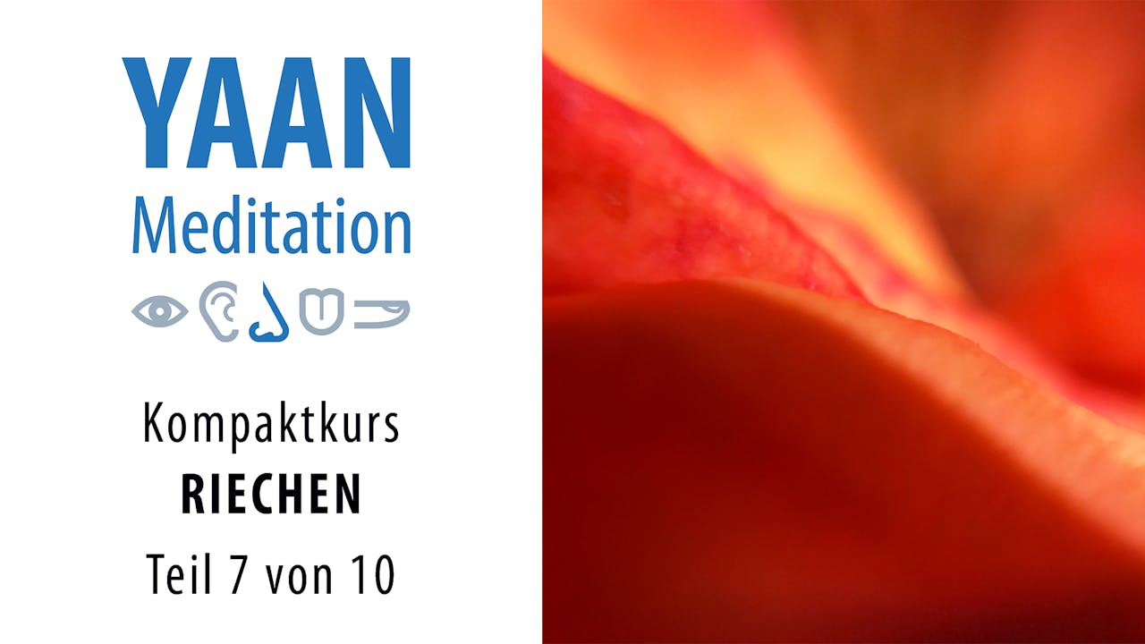 Yaan Kompaktkurs RIECHEN - Teil 7