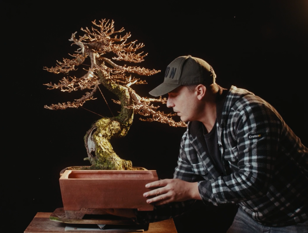 Yama Bonsai - The Bonsai Academy Video