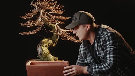 Yama Bonsai - The Bonsai Academy Video