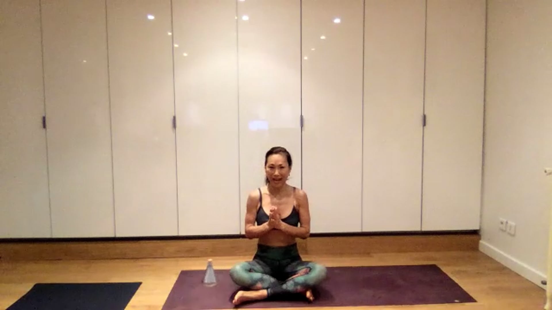 Yoga, Meditation and Pranayama Videos Video