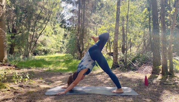 Vinyasa - Hip Opening Flow 30 MINS