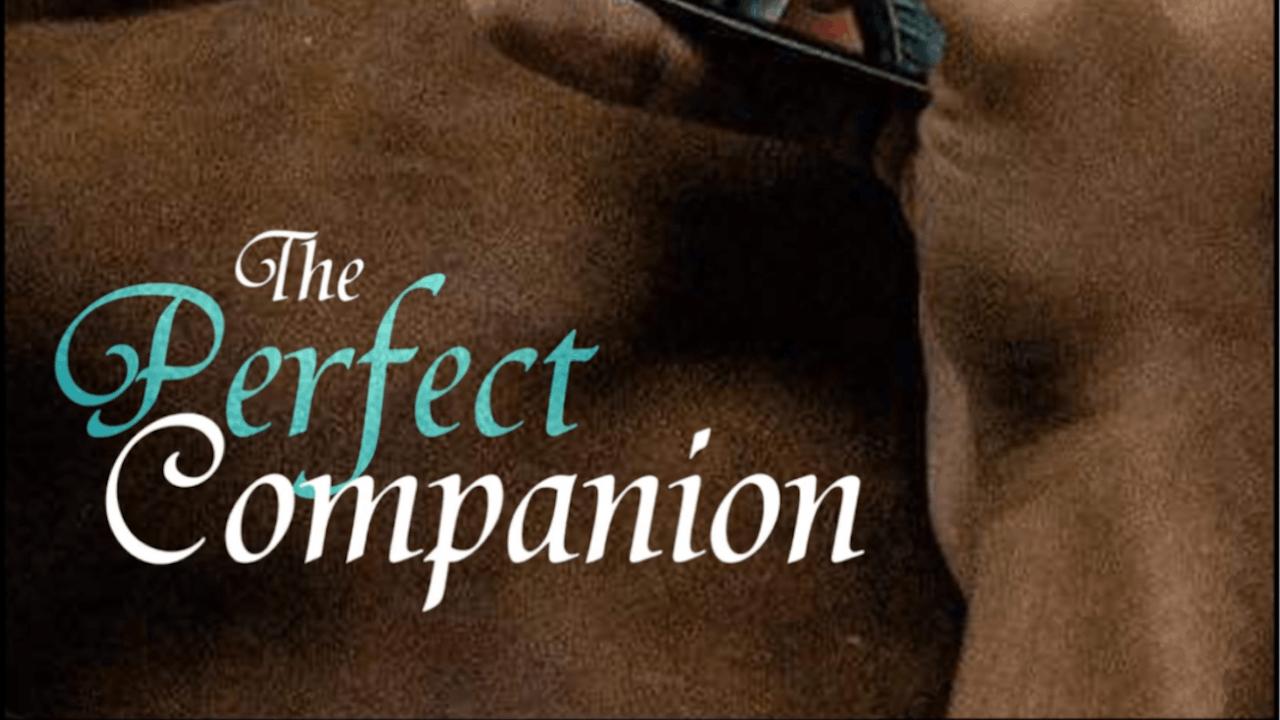 The Perfect Companion