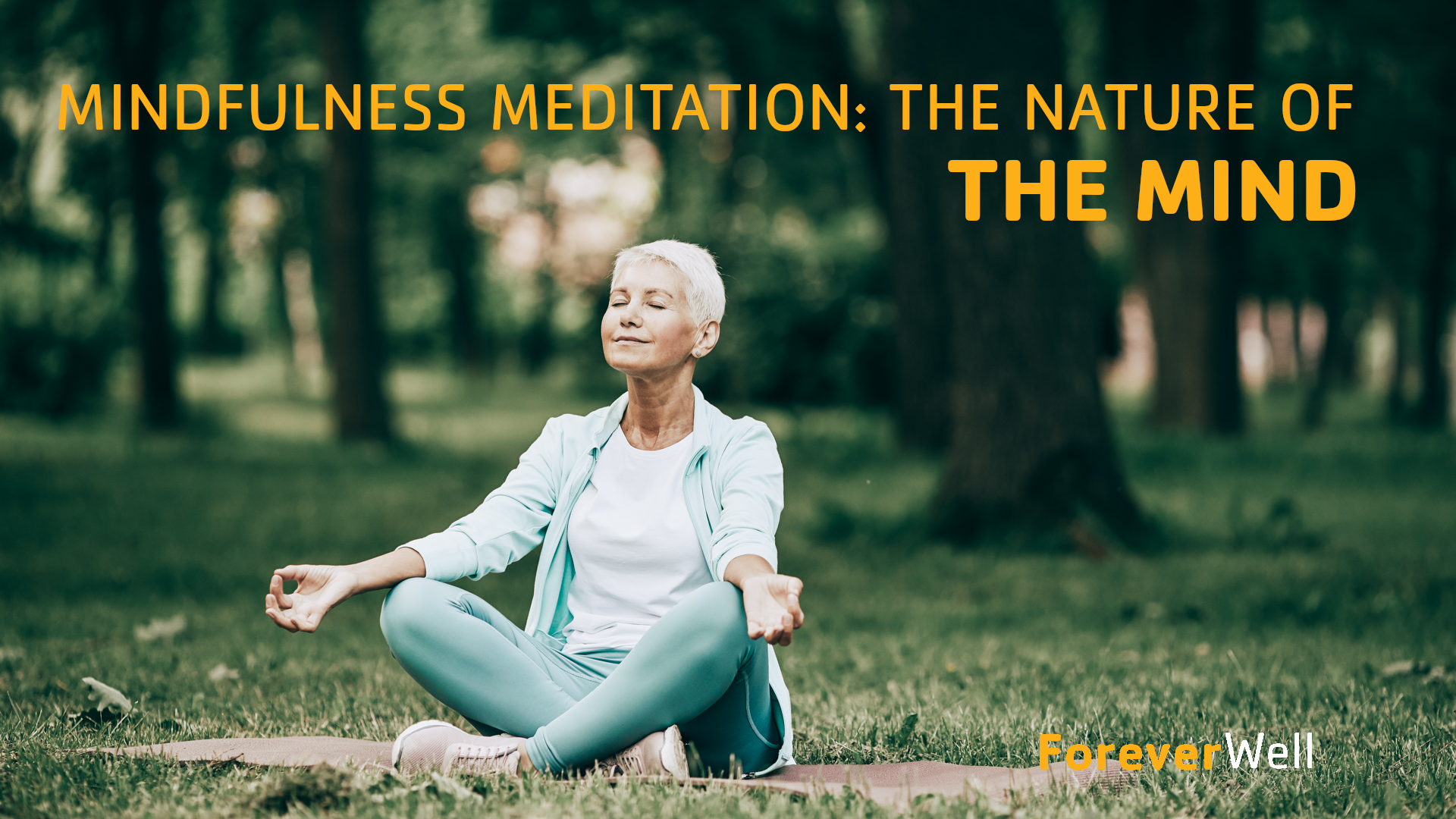 Mindfulness Meditation - The Nature of the Mind