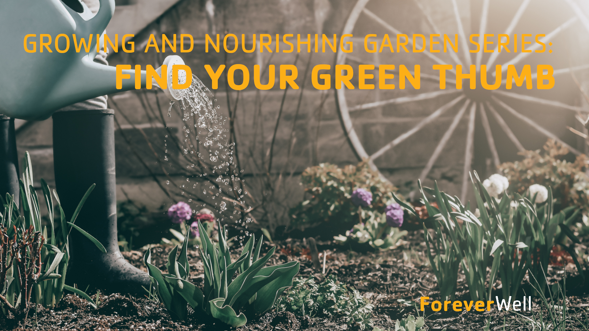 Growing & Nourishing Garden Series - Part 5 of 6