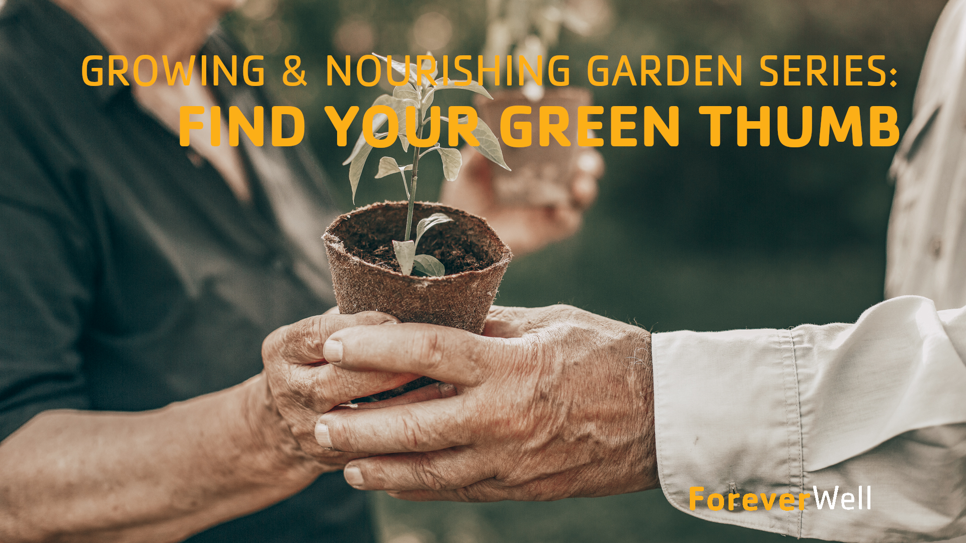 Growing & Nourishing Garden Series - Part 1 of 6