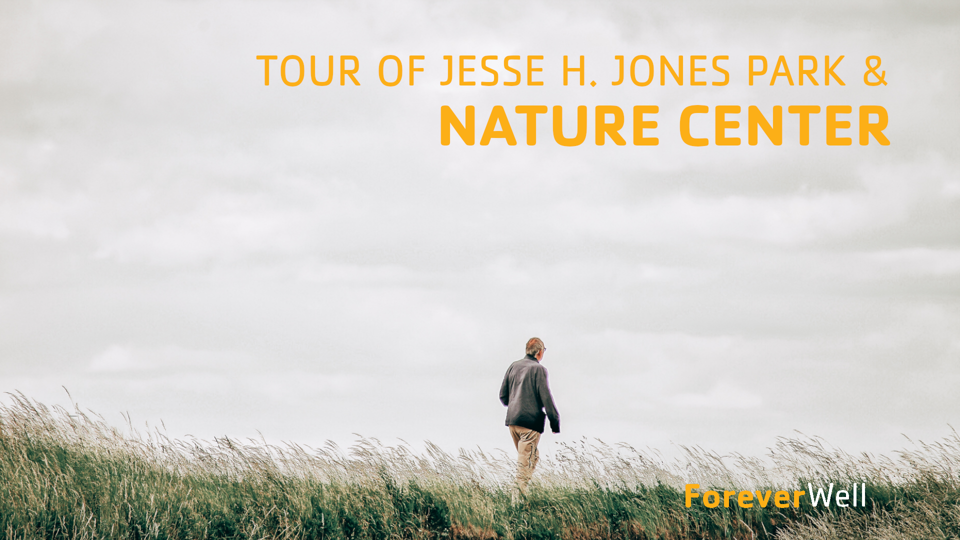 Tour of Jesse H. Jones Park & Nature Center
