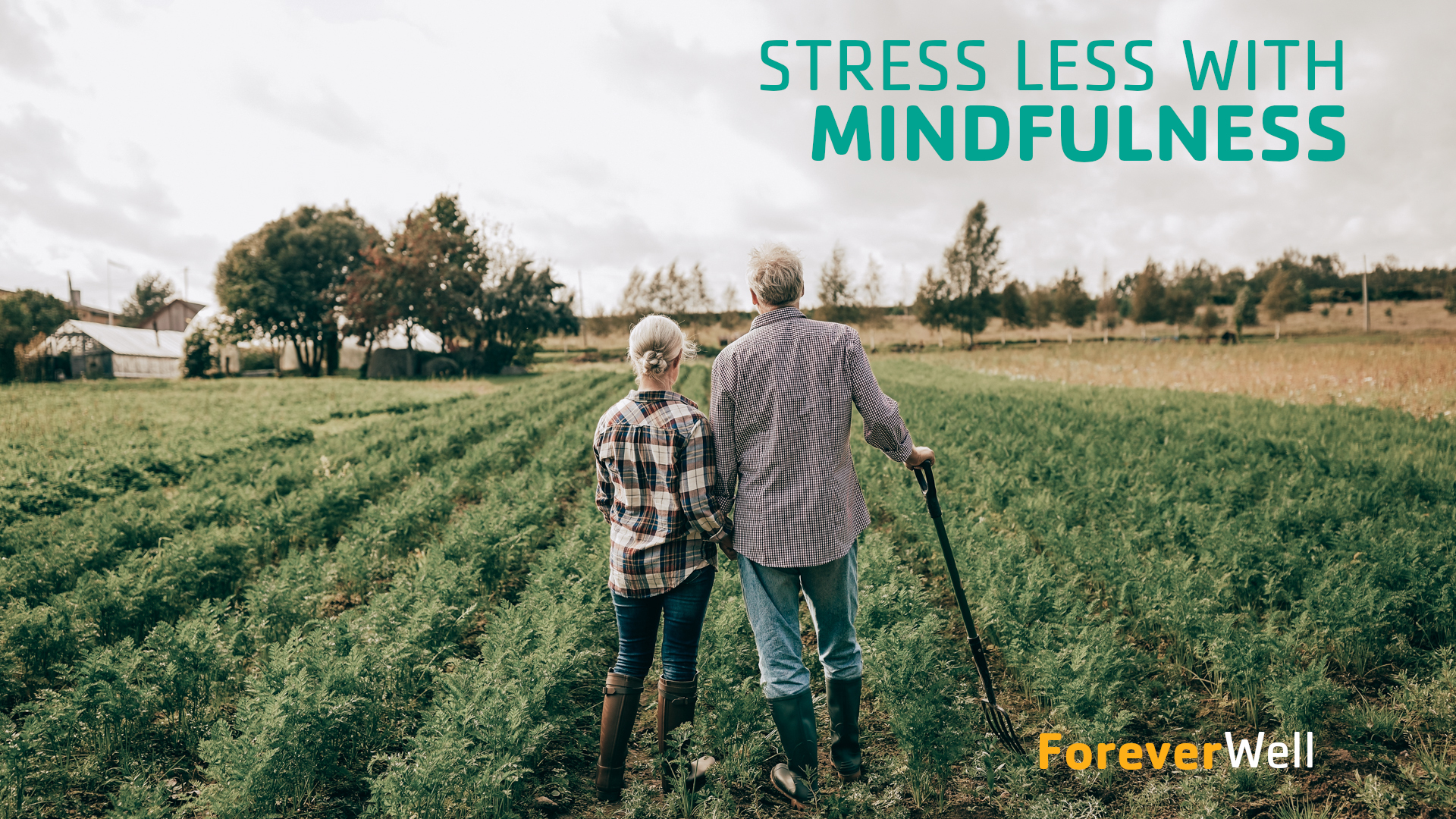 Stress Less with Mindfulness