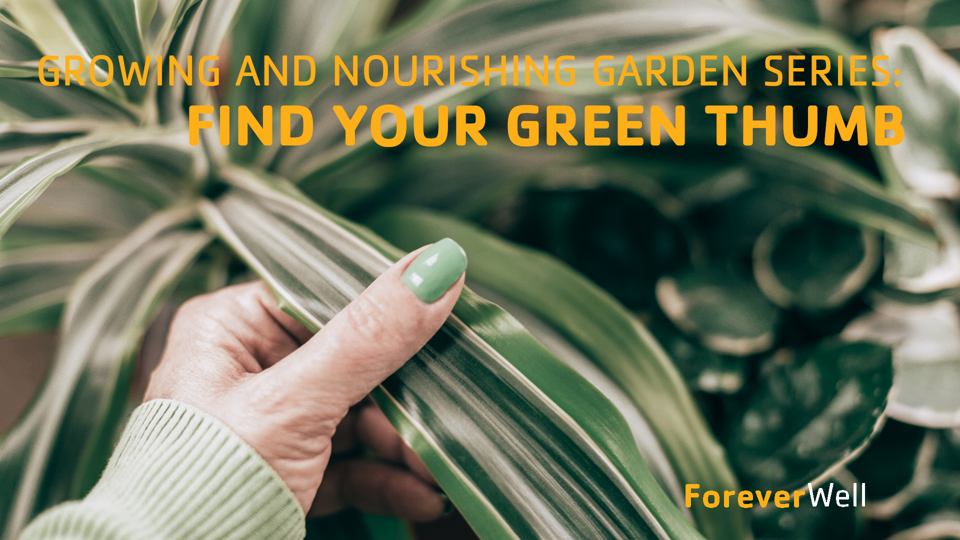 Growing and Nourishing Garden Series - Part 2 of 6