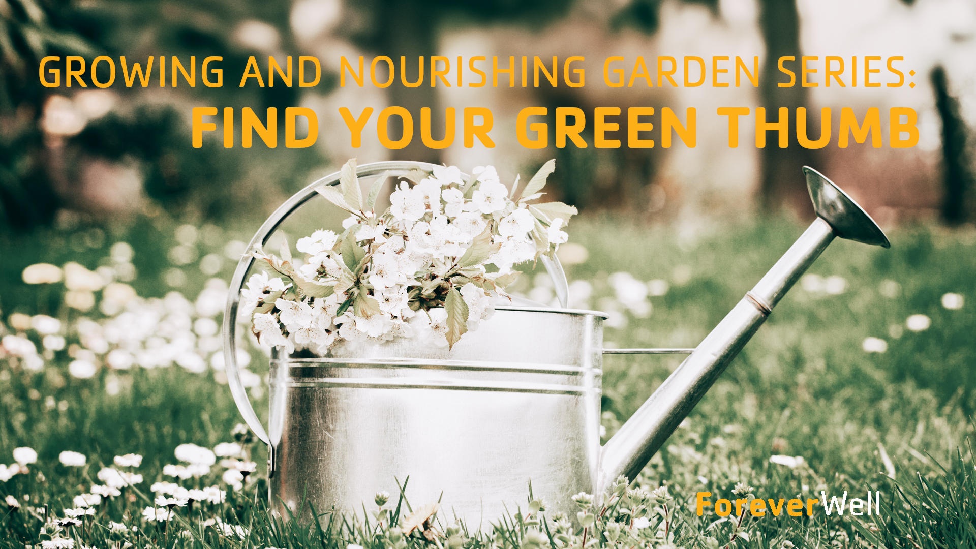 Growing & Nourishing Garden Series - Part 6 of 6