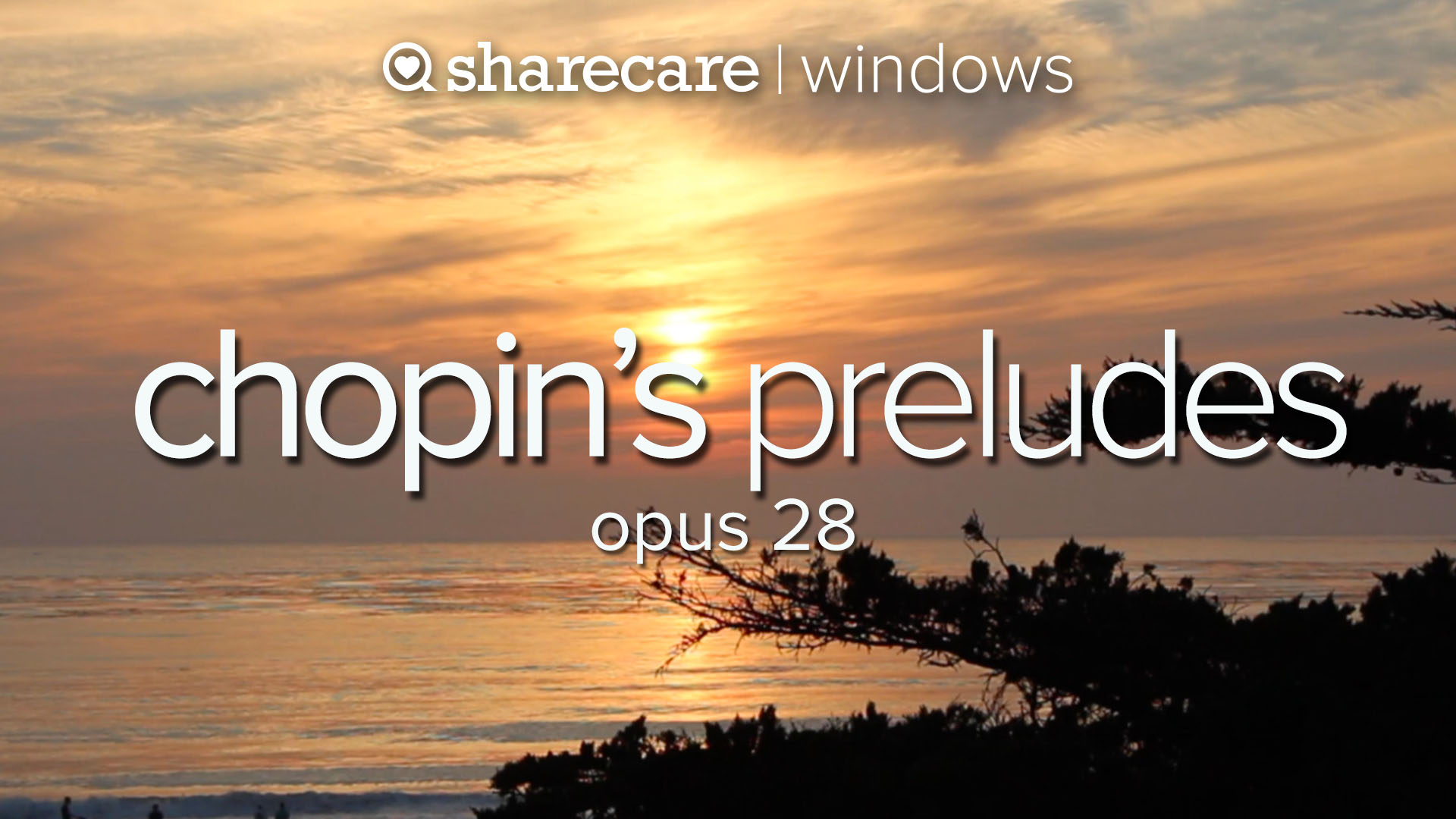 Chopin’s Preludes, Opus 28