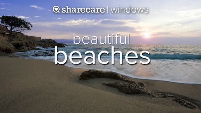 Beautiful Beaches: Nature's Window
