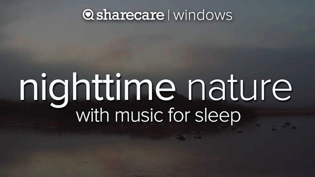 Nighttime Nature with Music