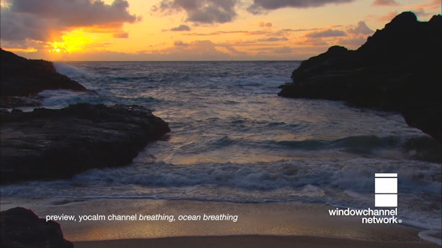 Ocean Breathing